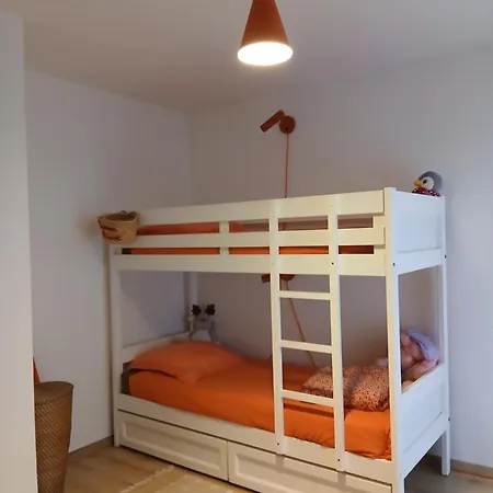 La Route Des Vignes *